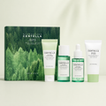 Mini-kit Tea-Trica SKIN1004 – Imperfections voyage